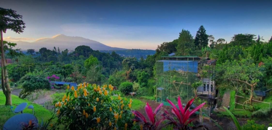 Villa Chacha At Macarena, Megamendung Dış mekan fotoğraf